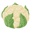 Choux fleur